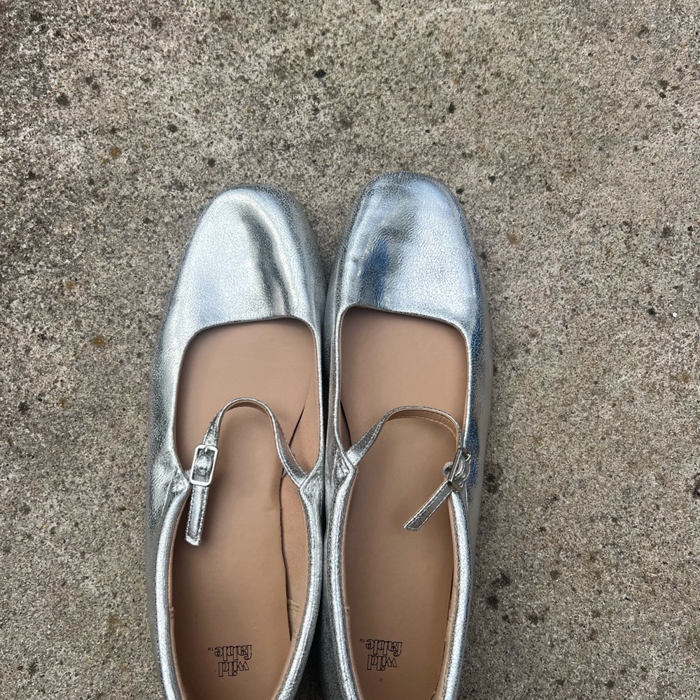 Wild Fable Silver Flats